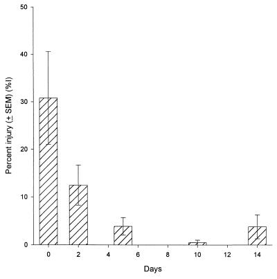 FIG. 1