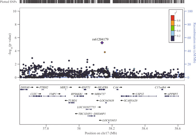 Fig. 4