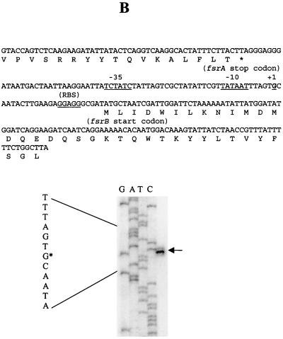 FIG. 6