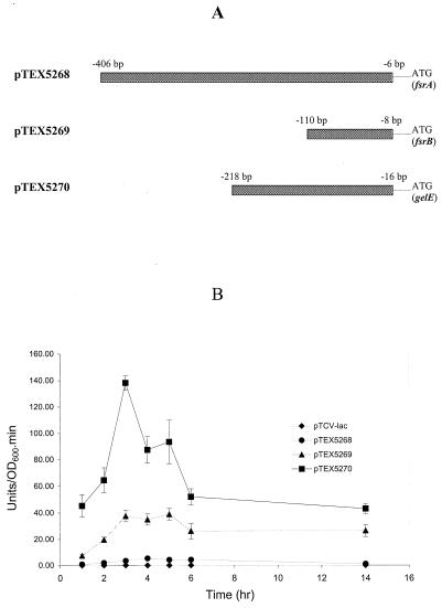 FIG. 7