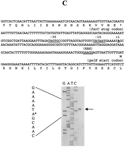 FIG. 6