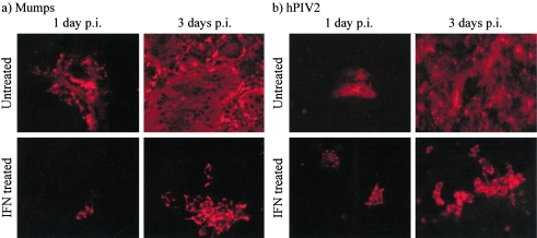 FIG. 8.