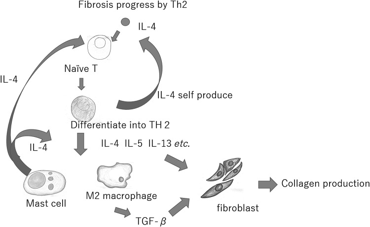 Figure 6.