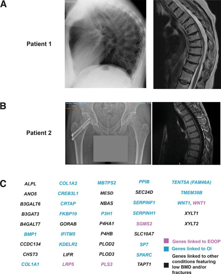 Fig. 2