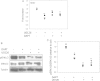 Figure 10