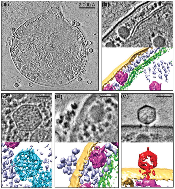 Figure 14