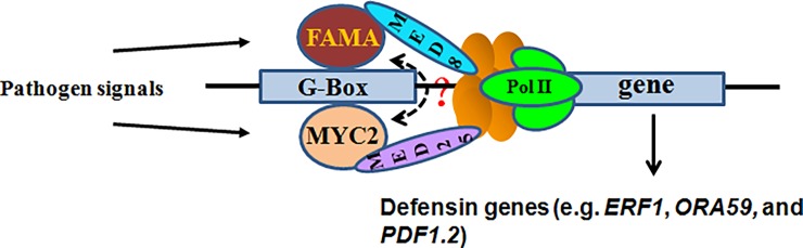 Fig 9