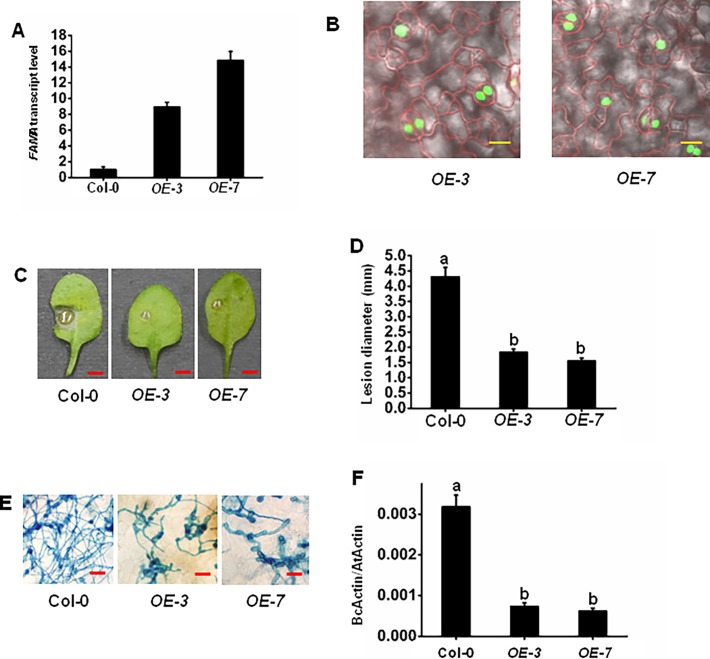 Fig 4