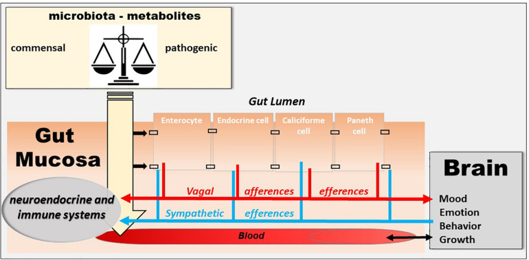 FIGURE 3