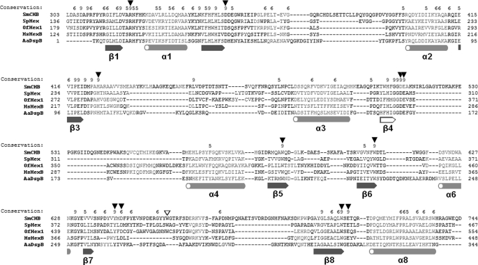 FIGURE 4.