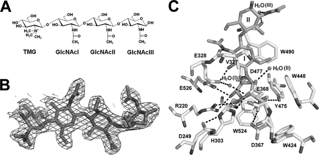 FIGURE 3.