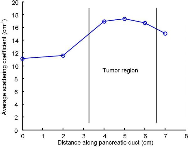 Fig. 10