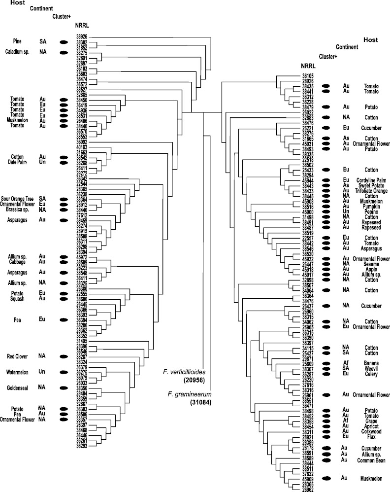 Fig. 4.—