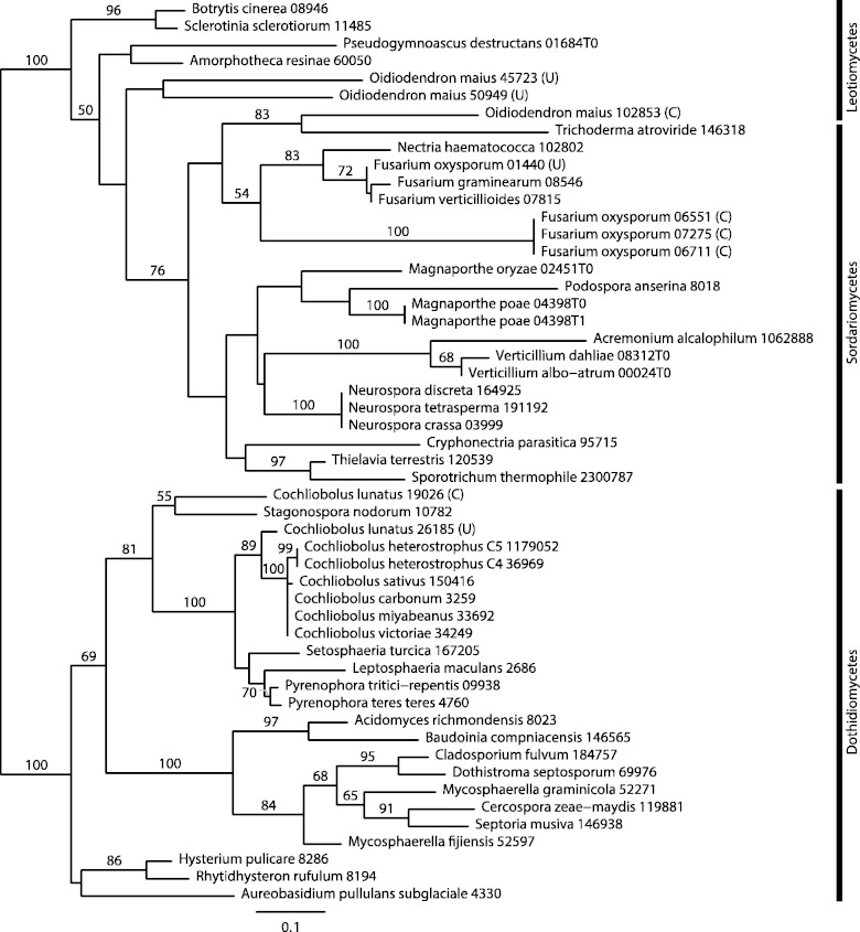 Fig. 2.—