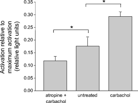 Fig. 10.