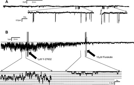 Fig. 11.