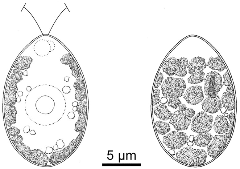 Fig 5