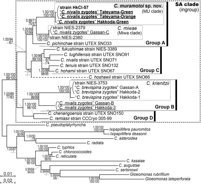 Fig 2