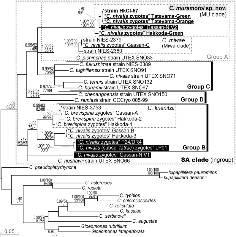 Fig 3