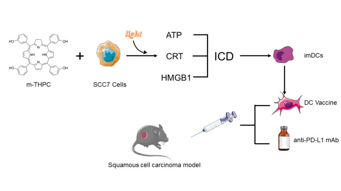 graphic file with name 12967_2022_3707_Fig6_HTML.jpg