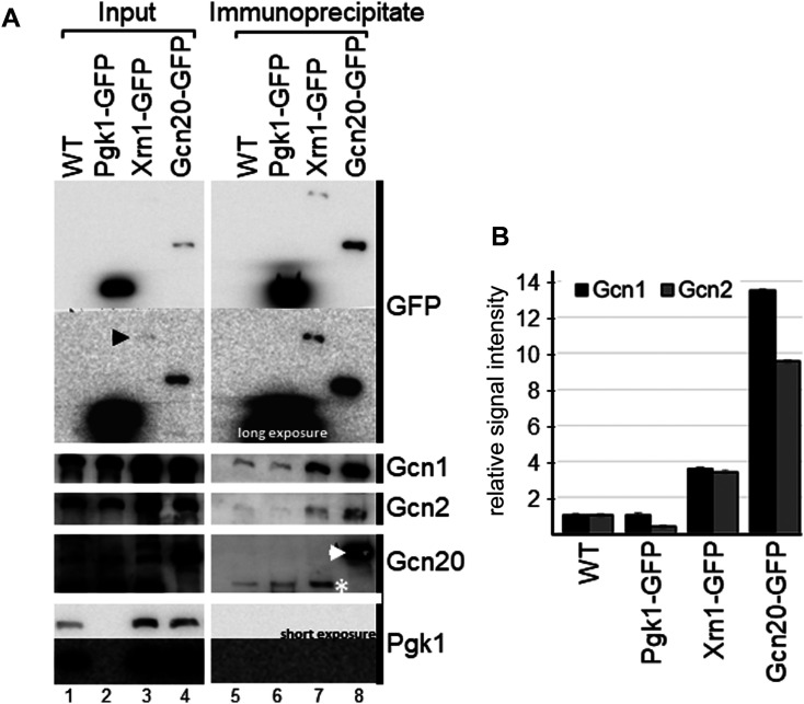 Figure 4.