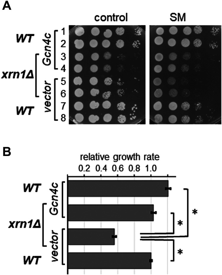 Figure 5.