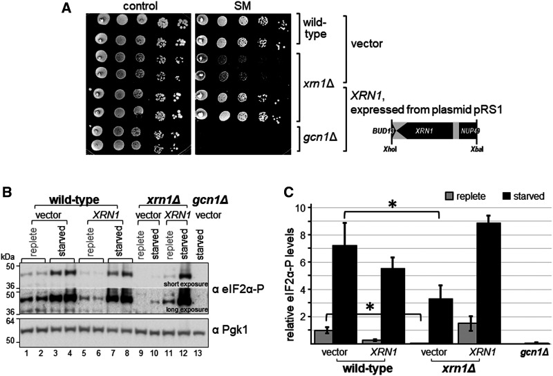 Figure 3.