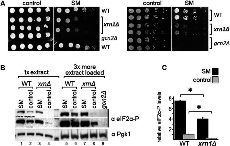 Figure 1.