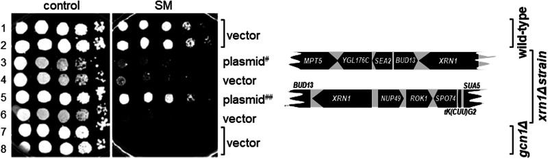 Figure 2.