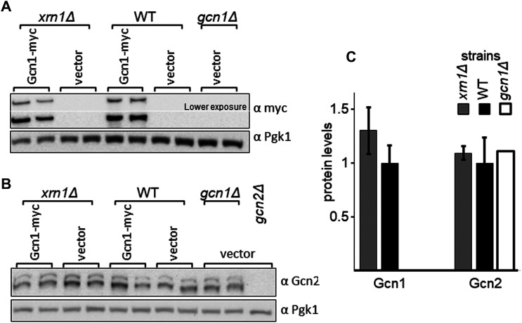 Figure 9.