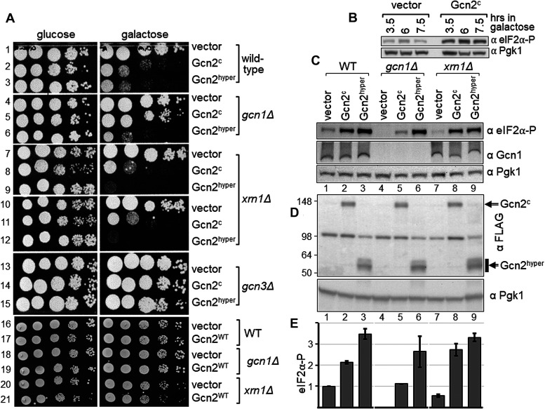 Figure 6.