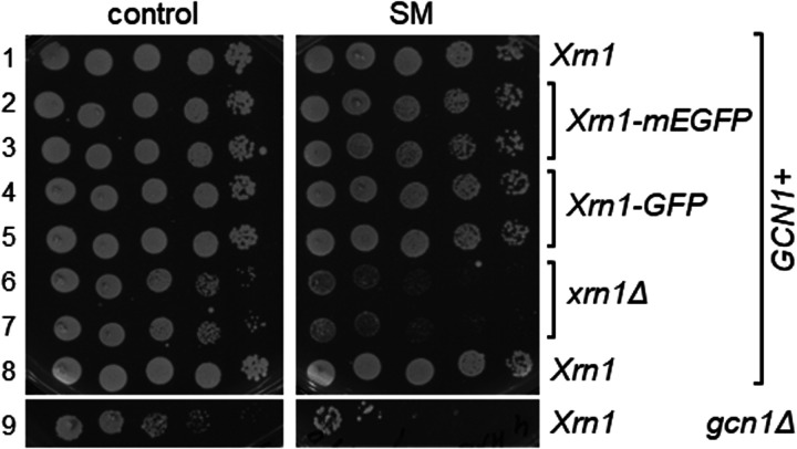 Figure 7.