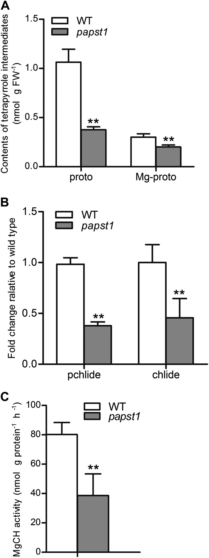 Figure 9.