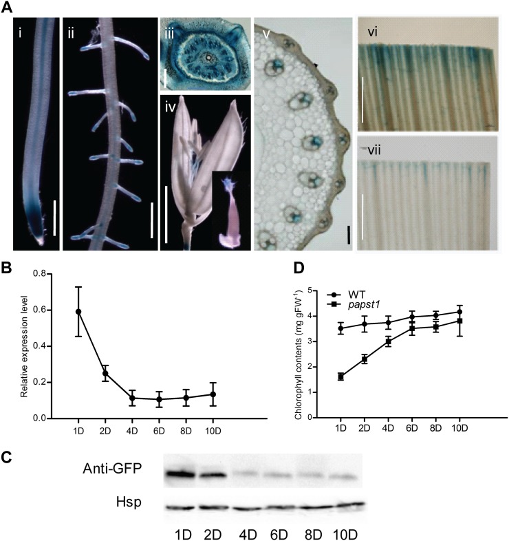 Figure 10.