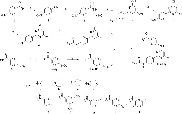 Scheme 1