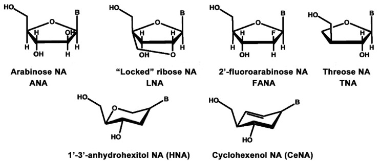 Figure 8