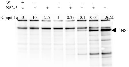 FIG. 8.