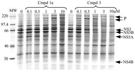 FIG. 6.