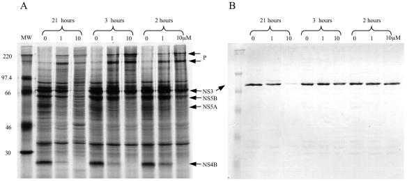 FIG. 5.