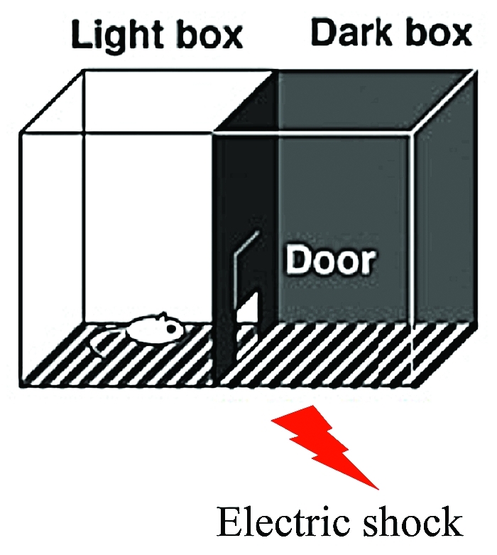 Figure 1.