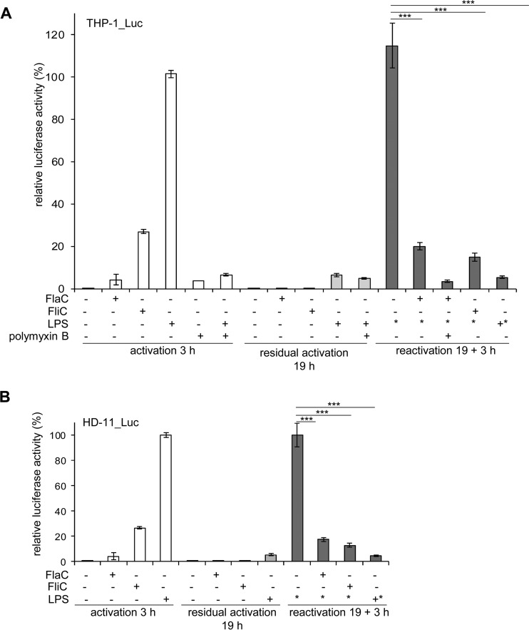 FIG 6 