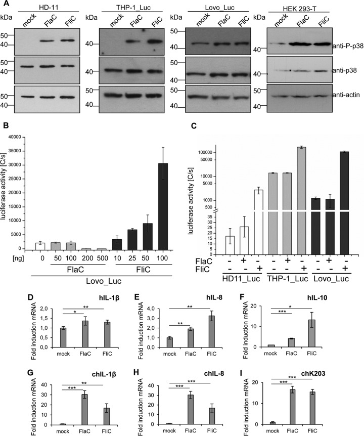 FIG 4 