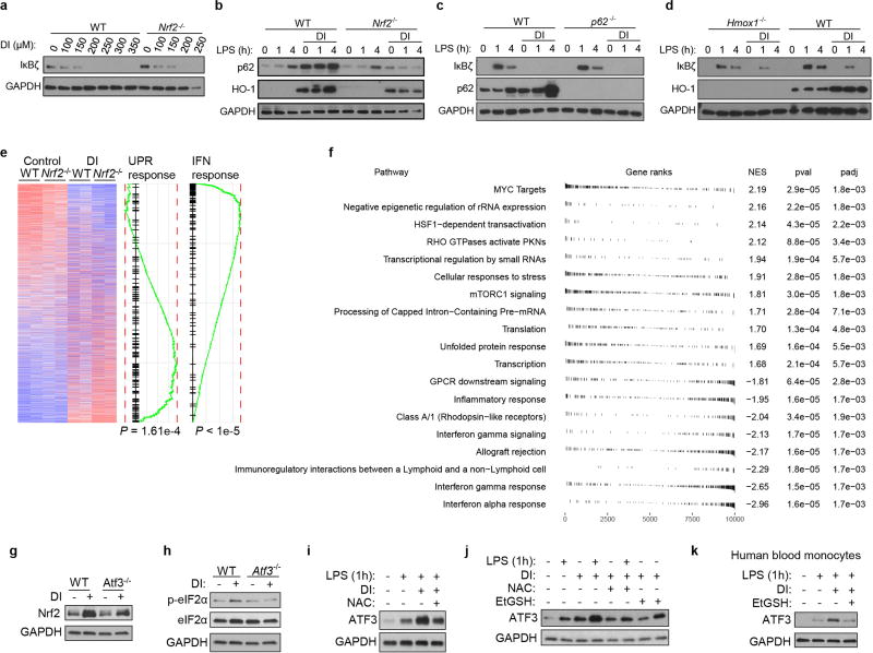 Extended Data Fig. 5