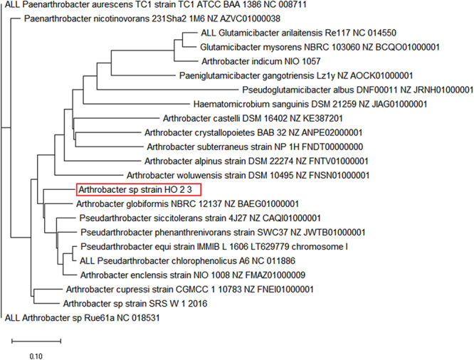 FIGURE 3