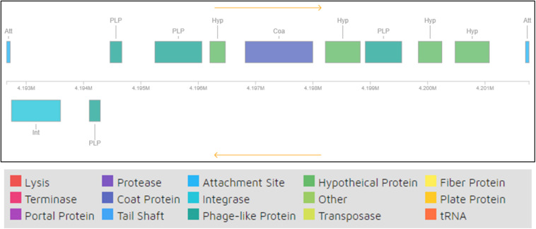 FIGURE 7