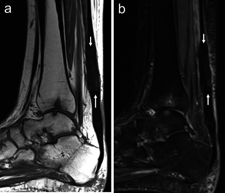 Fig. 8