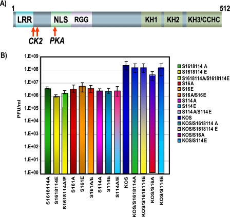 FIG. 6.