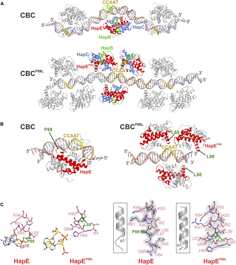 Figure 5.