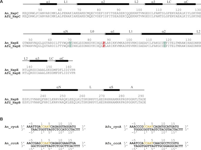 Figure S1.