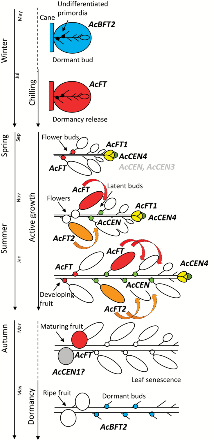 Fig. 9.